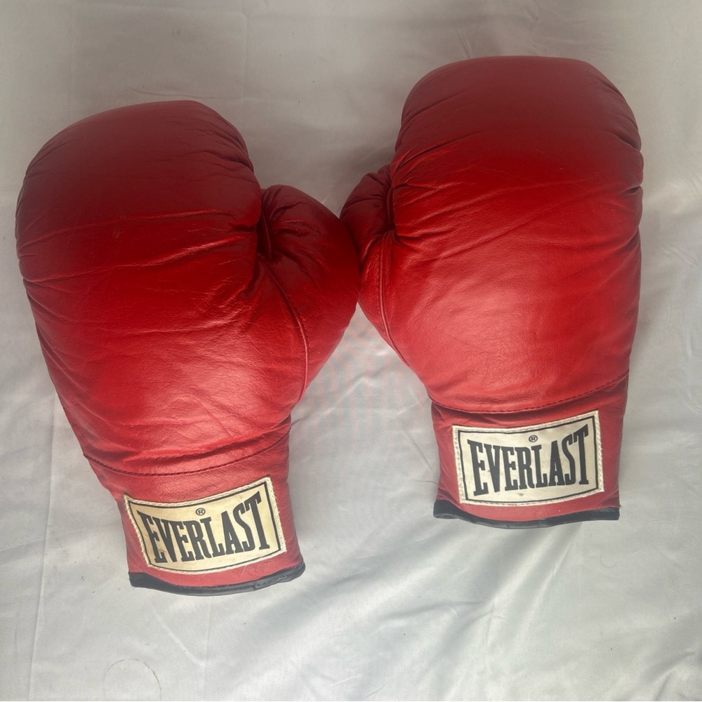 Everlast Scarlet Punching Gloves